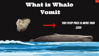 What is whale vomit whalevomit ambergris facts [upl. by Domenico]