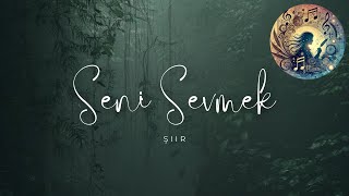 Seni Sevmek  Şiir 2024 [upl. by Ihdin]