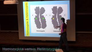 Homozygote and Heterozygote [upl. by Shir]