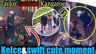 So Cute Kelce amp Swifts heartmelting moments with Kangaroo at Sydney Zoo [upl. by Ellenrad]