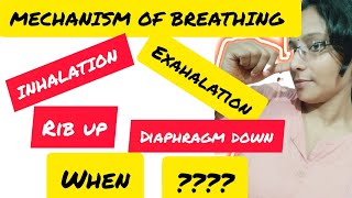 RESPIRATION MECHANISM OF BREATHING [upl. by Yrahcaz446]