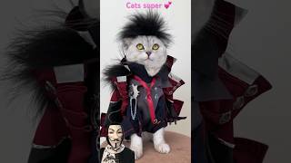 cats super 💕cats cat animals [upl. by Anirrehs648]