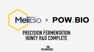 MeliBio Completes Precision Fermentation Honey RampD Concept [upl. by Suivatco]