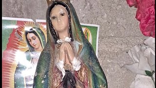 HABLEMOSUN RATO😇🙏🏻CANDELARIA GUTIÉRREZ 1 está en vivo [upl. by Greenebaum687]