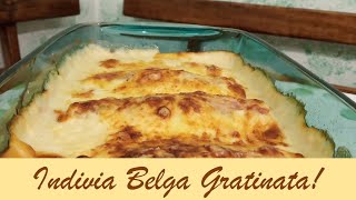 Indivia belga ricette – Indivia belga gratinata – Endives au jambon –Endive Recipe–Endivias–Endivien [upl. by Anaiviv]