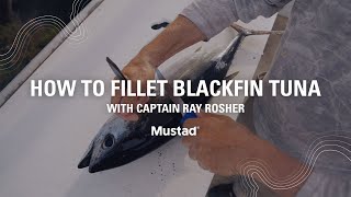 How To Fillet Blackfin Tuna the RIGHT Way with Captain Ray Rosher [upl. by Malik475]