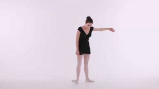 How to Do the 5 Basic Positions  Ballet Dance [upl. by Gerrie529]