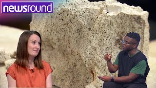 What is RAAC Explained  Newsround [upl. by Boggs]