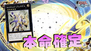 〖Tier1〗セイクリッドで環境を“破壊”する枠【遊戯王デュエルリンクス】YuGiOh Duel Links [upl. by Nay852]