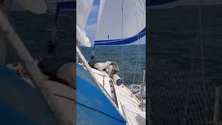 Sailing fypシ゚viral sea sailing boat summer fy [upl. by Erdied]