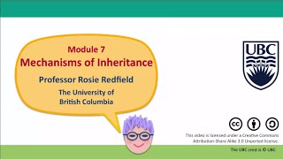 7E  Meiosis in males and females [upl. by Randee]