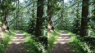 Easy mountain path and its flowers  slide show 3D 4K 3840x2160 hsbs from the Alps Italy  Watles [upl. by Jaret]