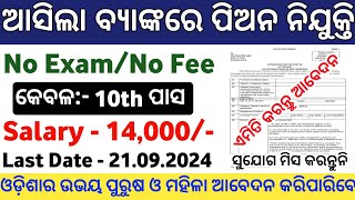 Odisha Bank Peon Jobs 2024  10th Pass Bank Peon Jobs 2024  Odisha Govt Job Vacancy 2024 [upl. by Swee]