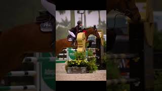 Bays or greys🤎🤍 equestrian fypシ horse horsefan horseriding horsejumping showjumping [upl. by Weingarten]