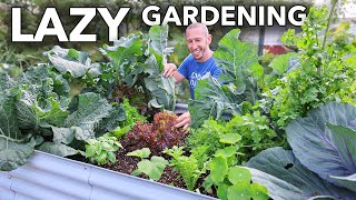 Companion Planting the LAZY Way to Garden [upl. by Golanka]