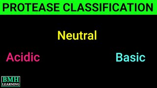 Classification Of Proteases  Basic amp Acidic Protease  Protease Production  Types Of Protease [upl. by Dazhehs]