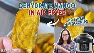 Dehydrate Mangoes In The Air Fryer Ninja Foodi Mango Slices [upl. by Eeima]