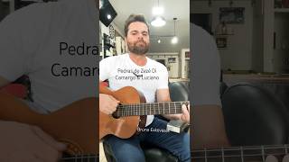 Pedras de Zezé Di Camargo amp Luciano music [upl. by Gosney759]