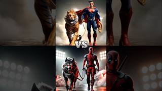 Superman and Pet Tiger vs Avengers vs DC Wild Animal Pets BattleSpidermanDeadpoolVenomHulk [upl. by Ecirtnahc]