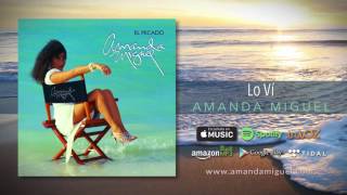 Amanda Miguel  Lo Vi Audio Oficial [upl. by Ynaffyt]