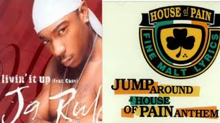 Livin Around House Of Pain X Ja Rule Mashup [upl. by Opportina]