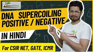 DNA positive and negative supercoiling  DNA supercoiling in Hindi [upl. by Schug]