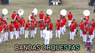 BANDAS ORQUESTAS PARA BAILAR 💃🕺 2020 [upl. by Aimaj]