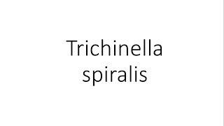 Trichinella spiralis  Parasitology [upl. by Libove552]