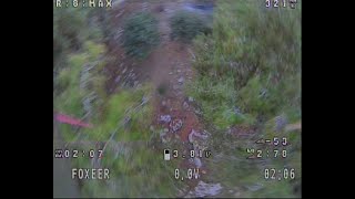 Tree crusing Fpv bing chilling [upl. by Adiuqram753]