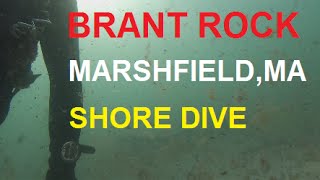 Brant Rock  Marshfield MA  Shore Dive [upl. by Neitsirhc]