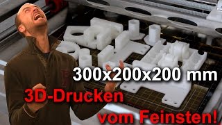 RepRap Drucken auf 300x200x200 mit KnutPlot MK4 [upl. by Nhepets876]