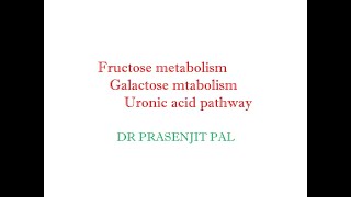 Fructose Metabolism Galactose Metabolism Uronic Acid Pathway [upl. by Ycnej]