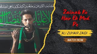 Zainab Ko Har Ek Mod Pe Ali Zuhair Zaidi 20241446 [upl. by Britney]