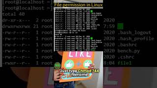 Mastering File Permissions in Linux chmod in Hindi  Linux Unix shorts [upl. by Ayam]