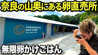 【食べ放題】奈良の山奥に500円で無限食いできるたまごかけご飯専門店が誕生したので調査に行ってきた！ [upl. by Esnahc746]