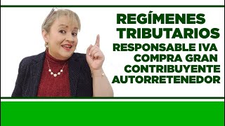 Responsable de IVA Compra a Gran Contribuyente Autorretenedor  Regímenes Tributarios [upl. by Navak180]