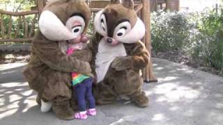 Chip and Dale [upl. by Nosecyrb83]