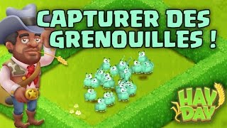 Capturer des grenouilles  Hay Day [upl. by Yddeg]