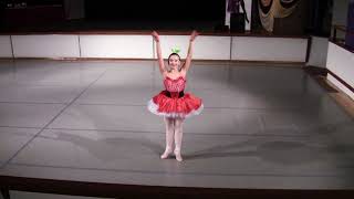 Radish variation Cippolino  Ballet Youth 2017  age 14  2nd Prize  Baletní mládí  Terpsichore [upl. by Hickie]