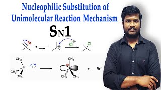 7Substitution Nucleophilic Unimolecular  SN1 Reaction Mechanism  in Tamil [upl. by Annayek615]