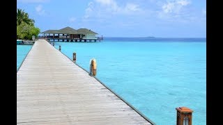 Variety of foods in Buffet Breakfast  Paradise Island Resort  Maldives [upl. by Joanie]