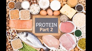 proteins biochemistry protein structure protein synthesis protein foods protein zoologyTertiary [upl. by Rinna]