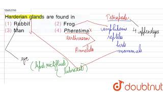 Harderian glands are found in [upl. by Matt]