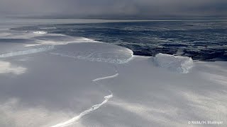 The Ross Sea Antarctic Marine Park  Behind the News [upl. by Areval681]