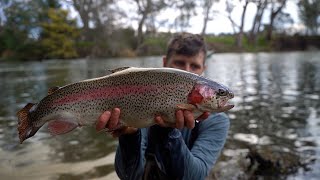 Goulburn River High Water Stonkers [upl. by Obadiah]