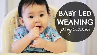 BABY LED WEANING BLW Progression 610 Months [upl. by Rexana342]