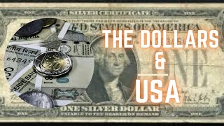 Americas Unique Currency History From Wampum to Dollars [upl. by Aubrette745]