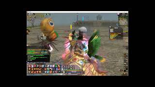 DEKARON TW PVP Segita Hunter vs Concerta summoner [upl. by Hamian]