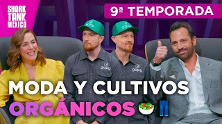 Una plataforma para cultivar y pantalones supercómodos 🥗👖  Temporada 9  Shark Tank México [upl. by Aicilram]