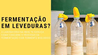 FERMENTAÇÃO DAS LEVEDURAS [upl. by Eybba90]